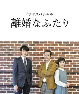 离婚的二人全集