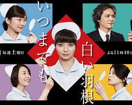 永远的白羽毛全集