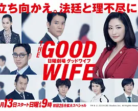傲骨贤妻全集