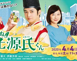 真好啊！光源君全集