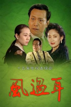 风过耳全集