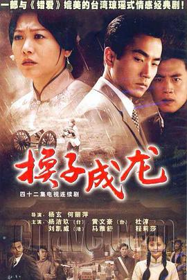 换子成龙全集