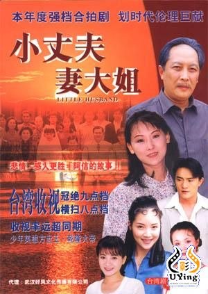 小丈夫 妻大姐全集