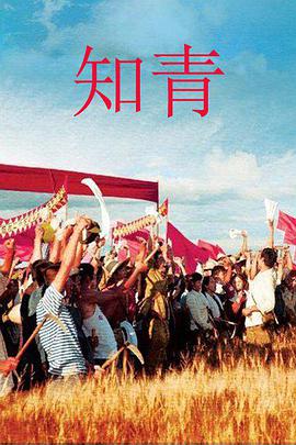 知青全集
