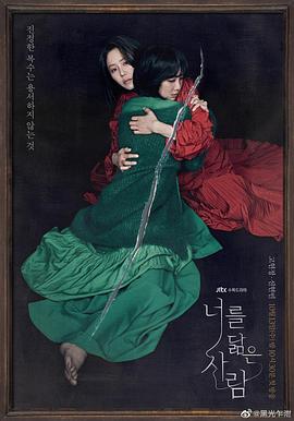 你的倒影全集