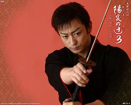 阳炎十字路3 瞌睡的磐音全集