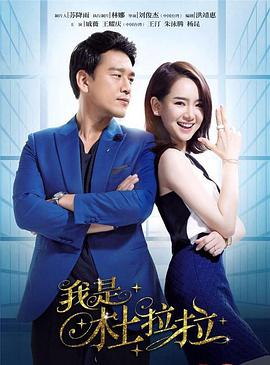 我是杜拉拉[DVD版]全集