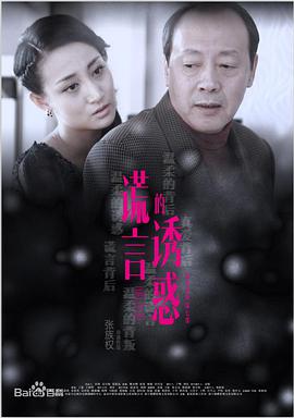 谎言的诱惑全集