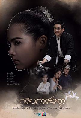 戛萨珑花香全集