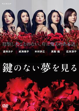 没有钥匙的梦全集