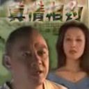 真情相约全集
