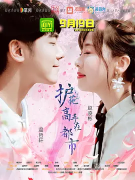 护花高手在都市全集