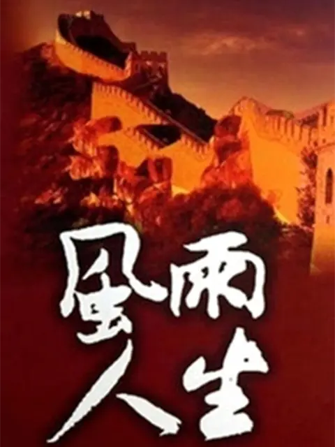 风雨人生全集