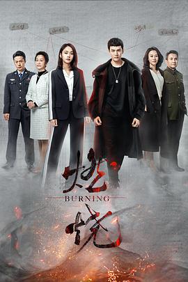 燃烧2020TV版全集