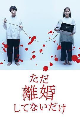 只是没离婚而已全集