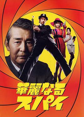 华丽的间谍全集