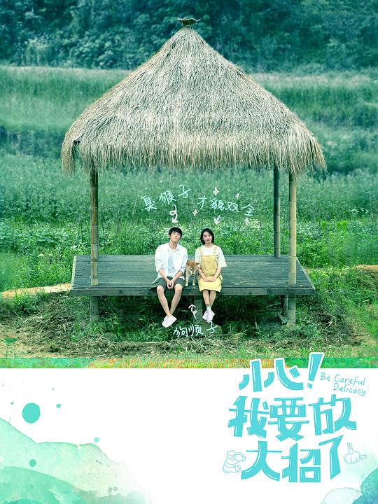 小心！我要放大招了全集