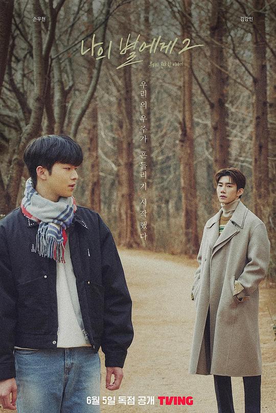 致我的星星2全集