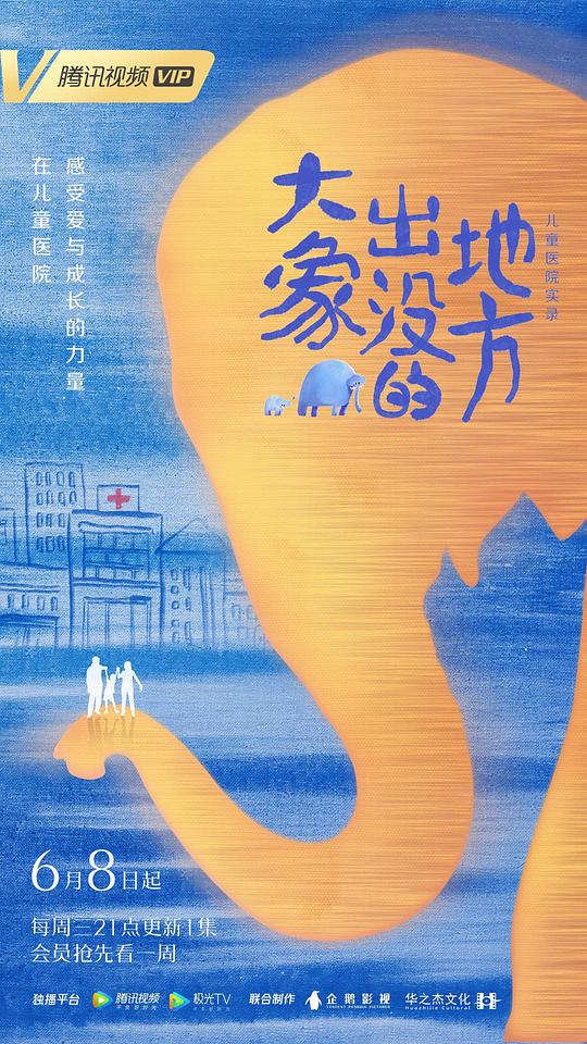 大象出没的地方全集
