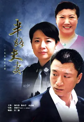 半路夫妻全集