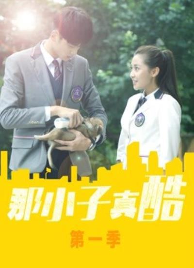 那小子真酷第二季全集