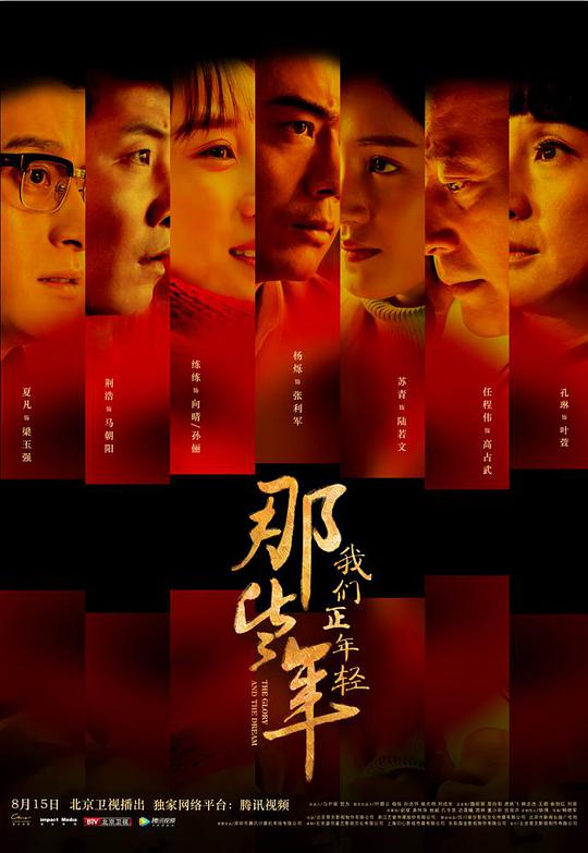 那些年，我们正年轻全集