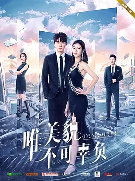 唯美貌不可辜负全集