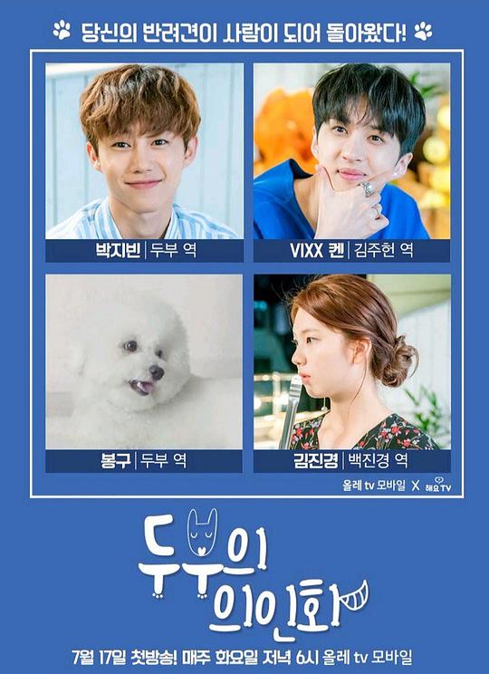 豆腐的拟人化全集