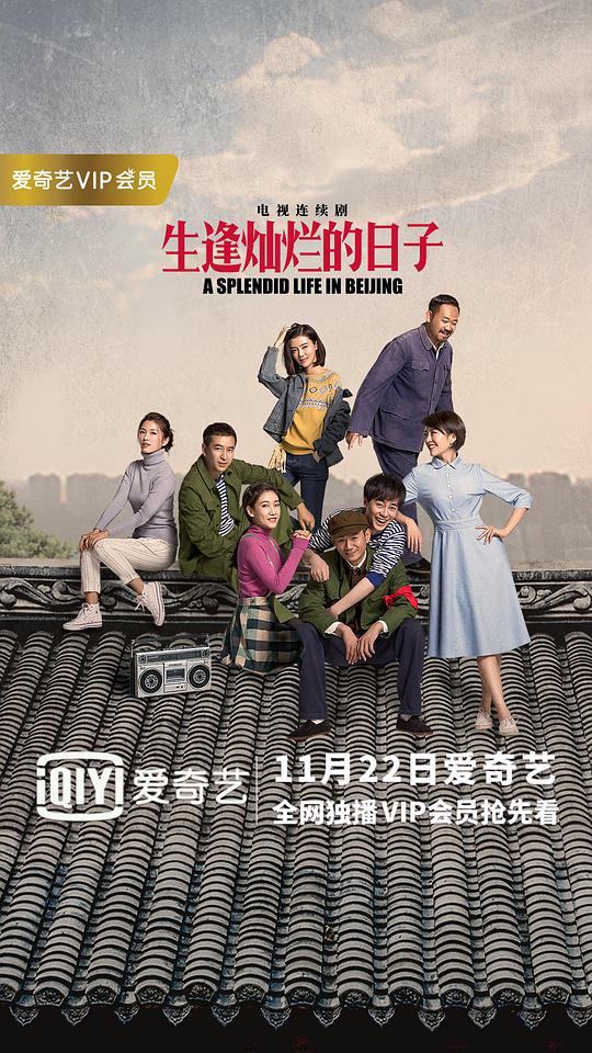 生逢灿烂的日子网络版全集