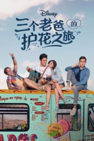 三个老爸的护花之旅全集