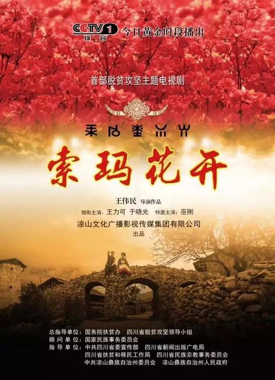 索玛花开全集