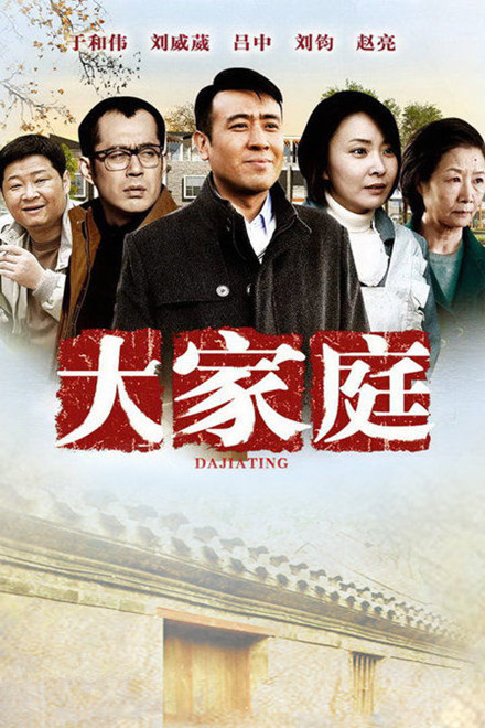 大家庭全集
