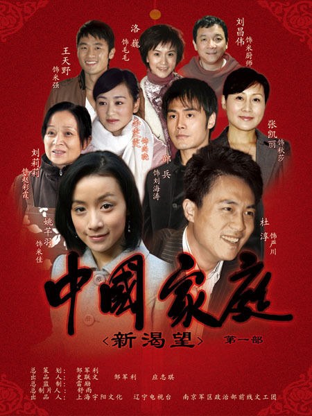 中国家庭之新渴望全集