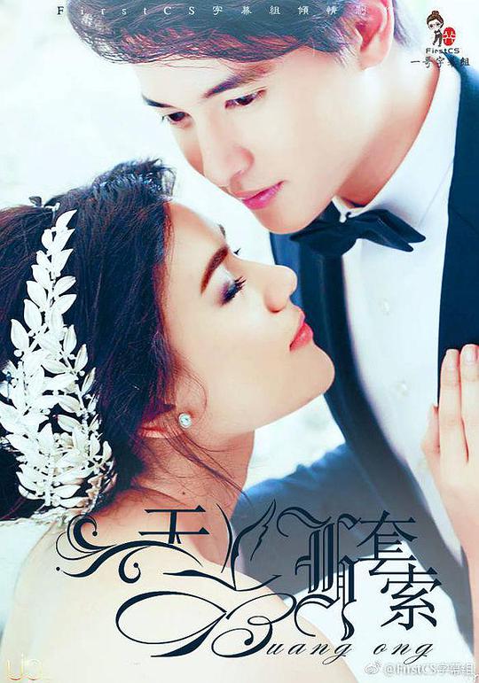 天鹅套索TV版全集