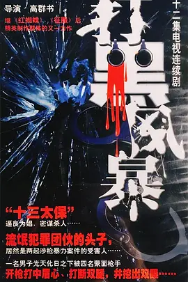 打黑风暴全集