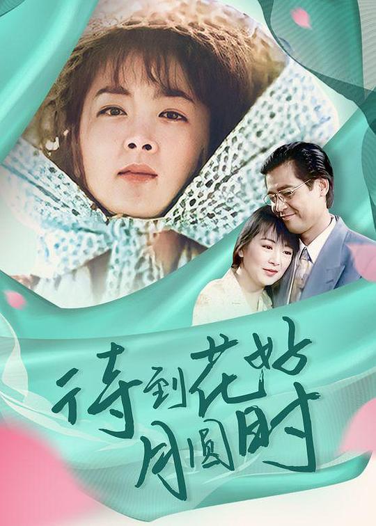 待到花好月圆时全集