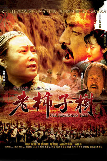 老柿子树全集