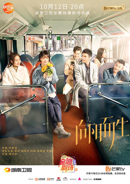 向阳而生DVD版全集