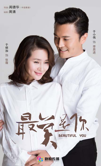 最美是你DVD版全集