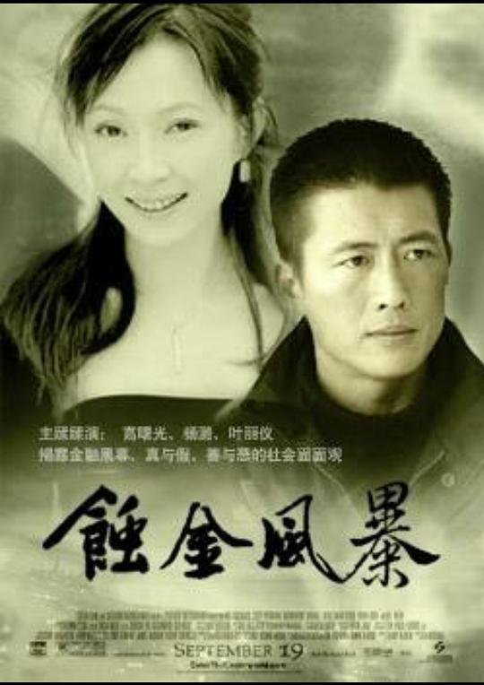 蚀金风暴全集