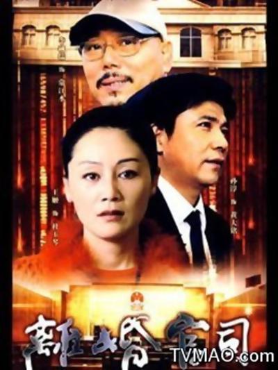 离婚官司全集