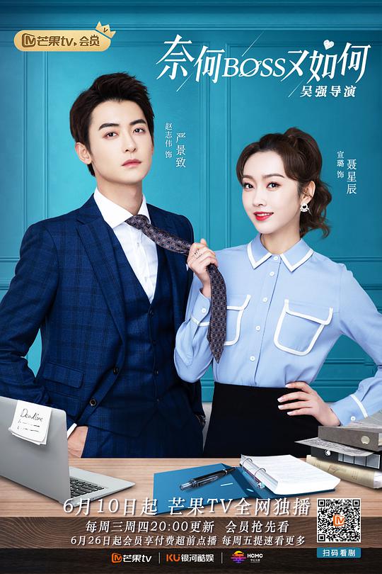 奈何BOSS又如何越南语版全集