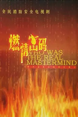 燃情密码全集