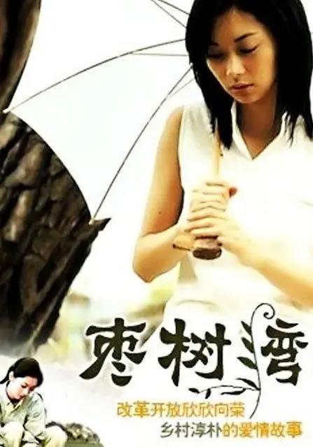 枣树湾全集