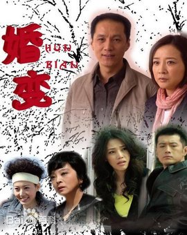 婚变全集