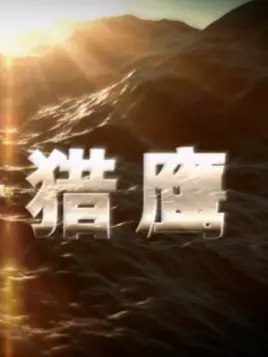 代号猎鹰全集