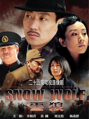 雪狼全集