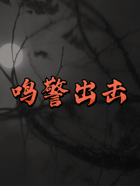 鸣警出击全集