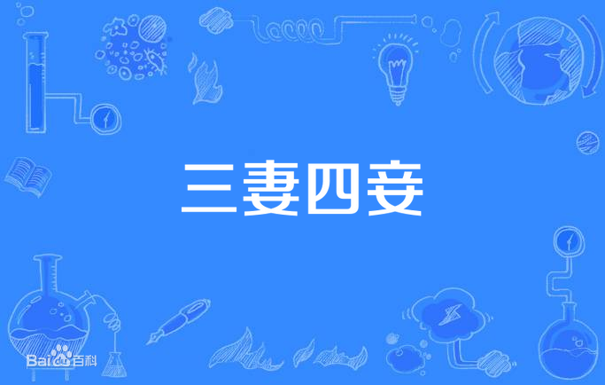 三妻四妾全集