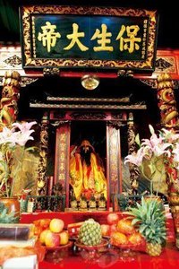 保生大帝全集